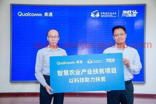 美国评中国扶贫基金会（美国评中国扶贫基金会是真的吗）