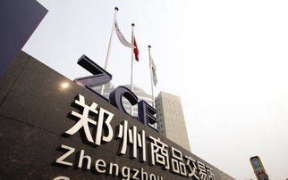 郑州期货基金投资公司（郑州期货交易所简介）