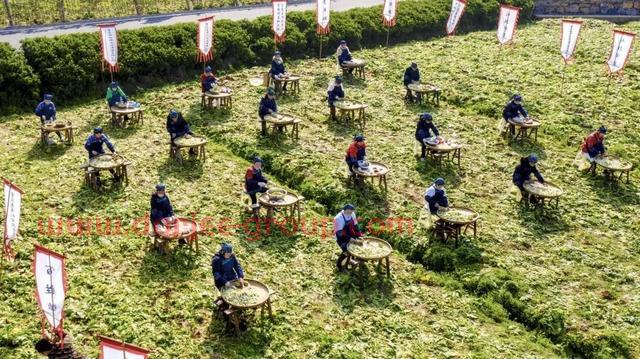 重庆涪陵区打造让党放心、让群众有信心的妇联组织