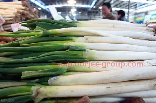 大葱价格涨价了，什么原因造成的？