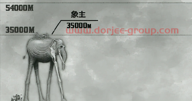 海贼王：1037话巨大身影确定为象主，*战力可抵消世界政府战舰