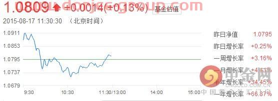 今日基金净值查询270005