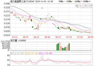 广厦控股集团有限公司（恒力股票）