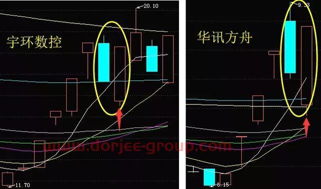 次新+科技走强，科创板尾盘跳水