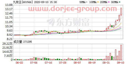 多主力现身龙虎榜，九牧王涨停（09-10）