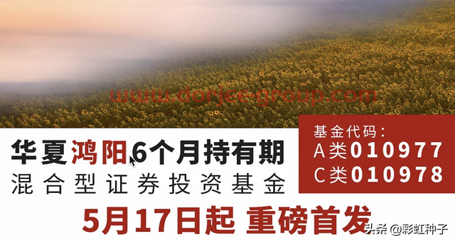 NO.572｜华夏基金蔡向阳-华夏鸿阳6个月持有，值不值得买？