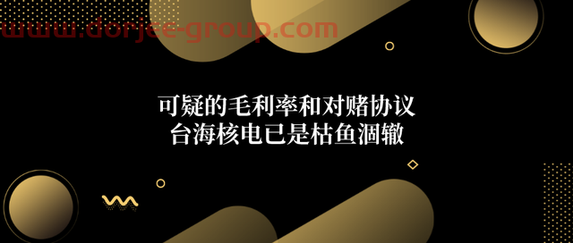 台海核电：惊人的毛利率，挡不住的“雪崩”