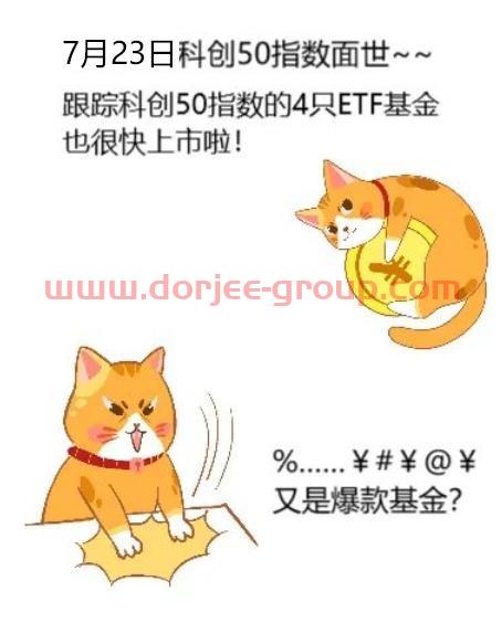 涨跌幅20%指基来了！已有科创板主题基金收益超***！科创50ETF值得pick吗？