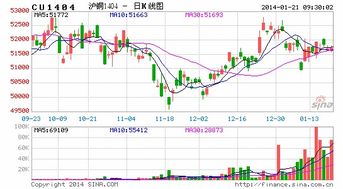 长安汽车股票