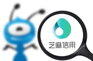 002496辉丰股份股吧
