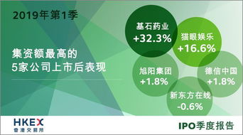 公司财务报告