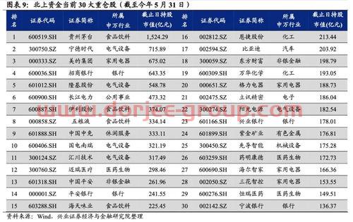 东方新能源汽车