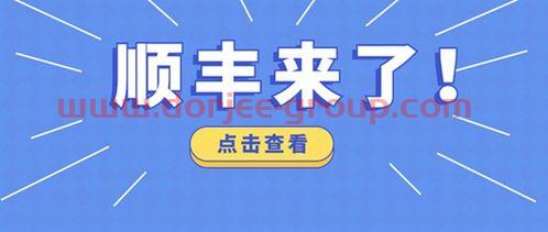 202005净值