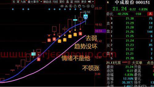 场内基金交易规则及费用