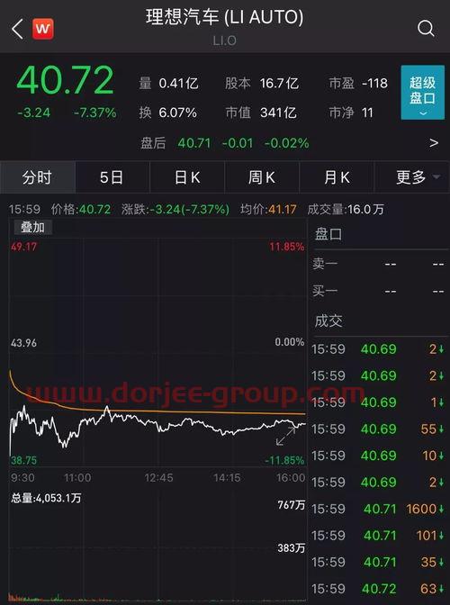 新疆火炬