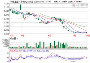 华利集团公司简介