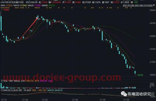深圳市深粮控股股份有限公司