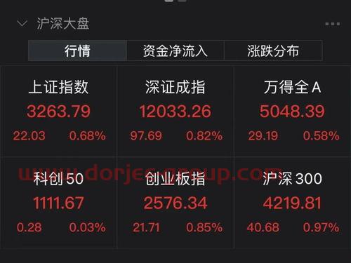 中证指数网