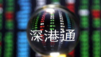 000831基金