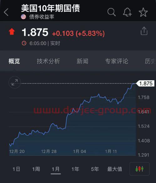 基金历史净值查询