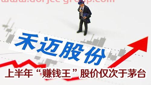 禾迈股份股吧
