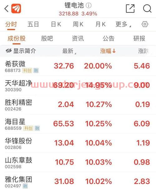 新能源股票有哪些龙头股