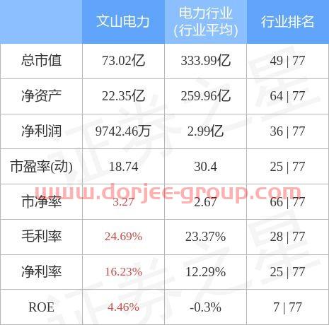 文山电力股票
